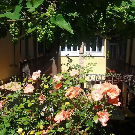 Casa Mario Lupo - And Apartman Bergamo